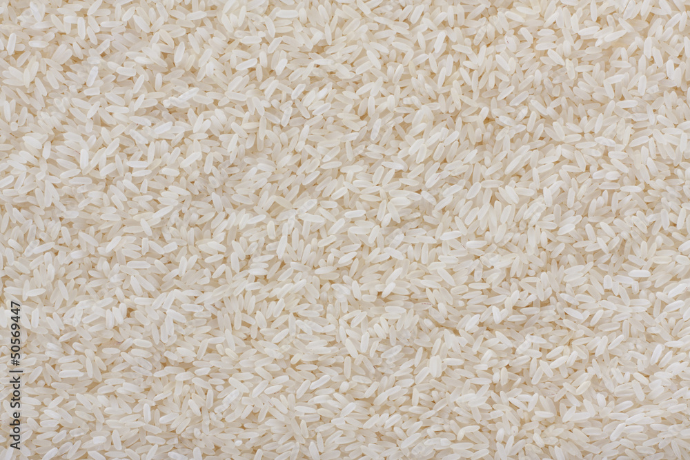 texture of rice texture of rice