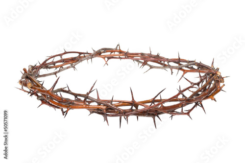 Fotografering Crown of thorns