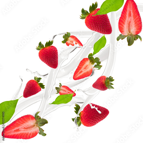 Fototapeta Naklejka Na Ścianę i Meble -  Strawberries in milk splash, isolated on white background 