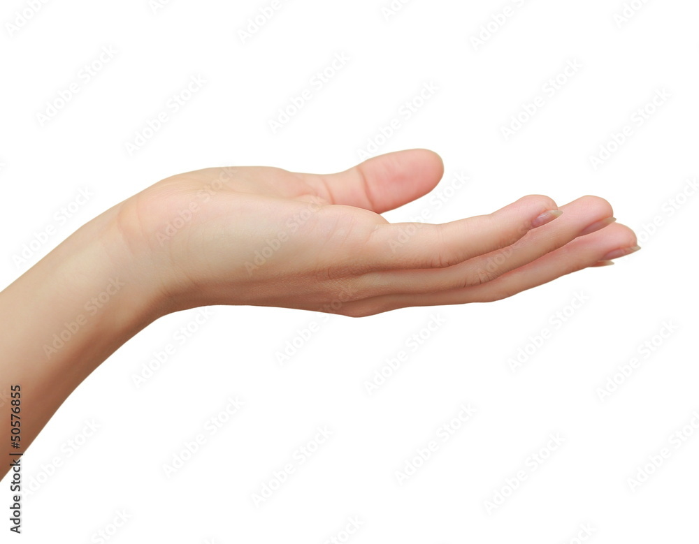 Woman hand holding or showing something isolated on white Woman hand holding or showing something isolated on white