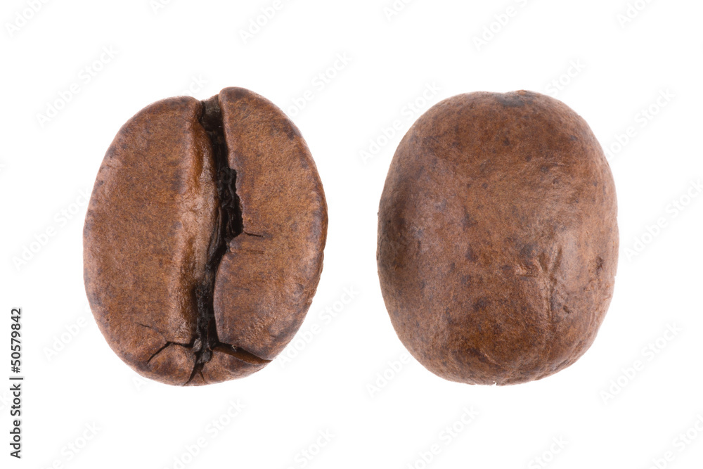 Kaffeebohnen Detailaufnahme - freigestellt Kaffeebohnen Detailaufnahme - freigestellt