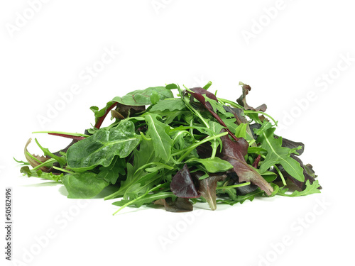 mixed baby green salad