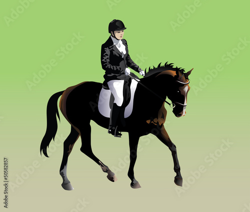 Vector drawing athletes participating rider in dressage