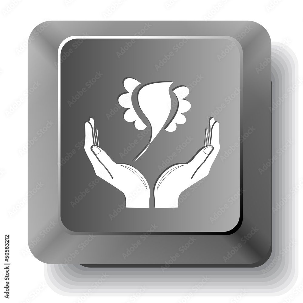 bird in hands. Vector computer key. bird in hands. Vector computer key.