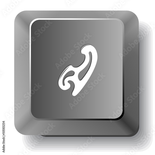 French curve. Vector computer key.