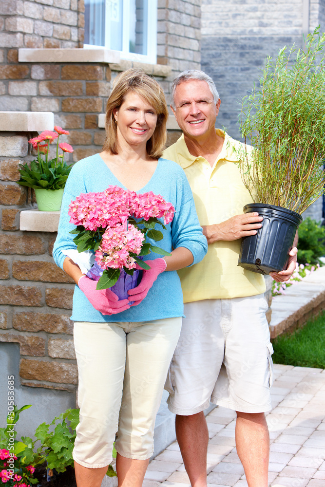 Fototapeta premium Gardening couple.