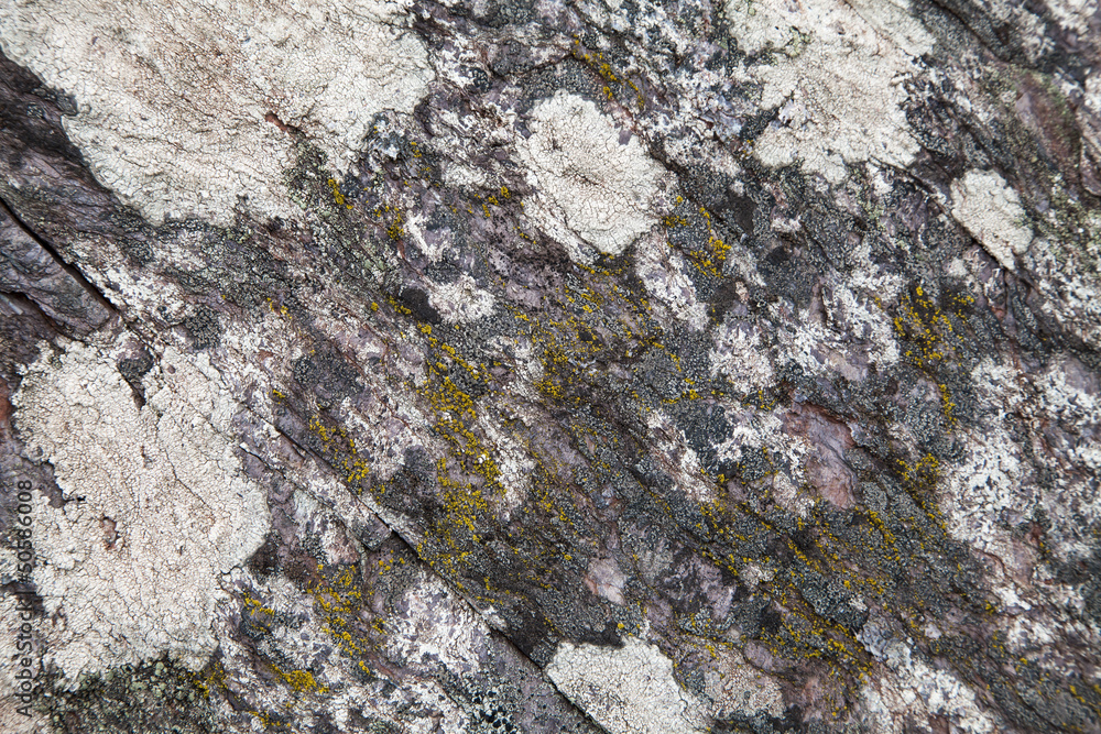 Abstract Rock Texture - Nature Background Abstract Rock Texture - Nature Background
