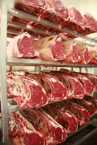 Valokuva Cuts of beef on shelves in an abattoir