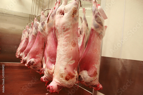 Lamb carcasses in an abattoir