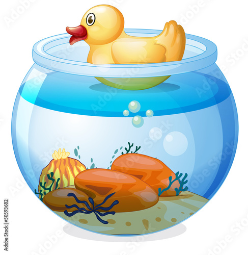 An aquarium with a rubber duck