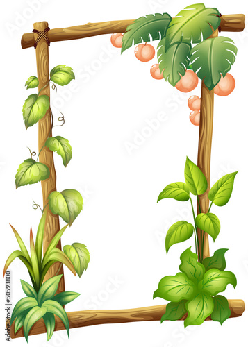A frame made of woods with plants