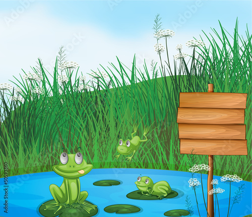 Three playful frogs at the pond beside an empty signage