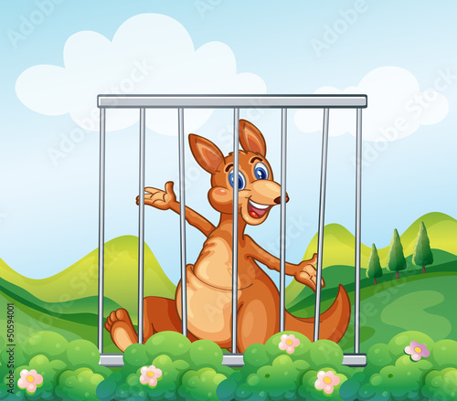 A kangaroo inside a cage