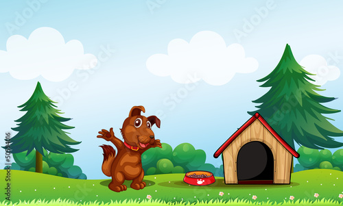 A playful brown puppy
