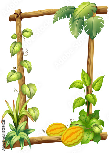 A wooden frame with plants