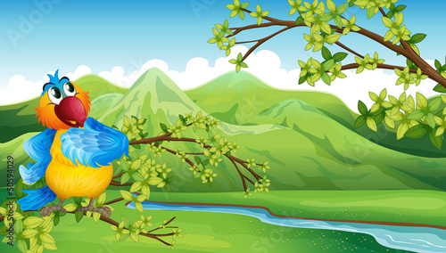 A parrot in front of the high mountains