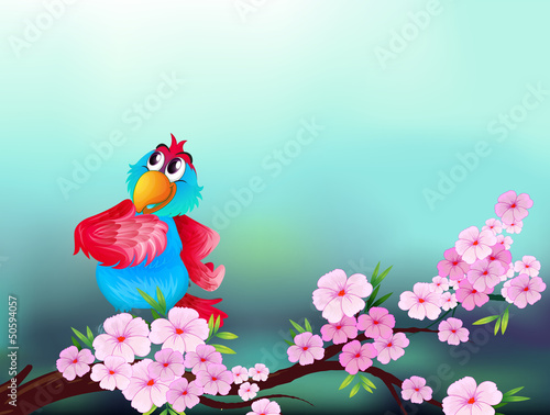 A parrot at the branch of a tree with pink flowers