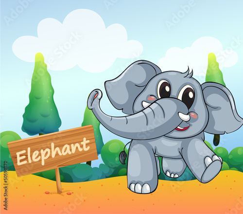A baby elephant beside a wooden board