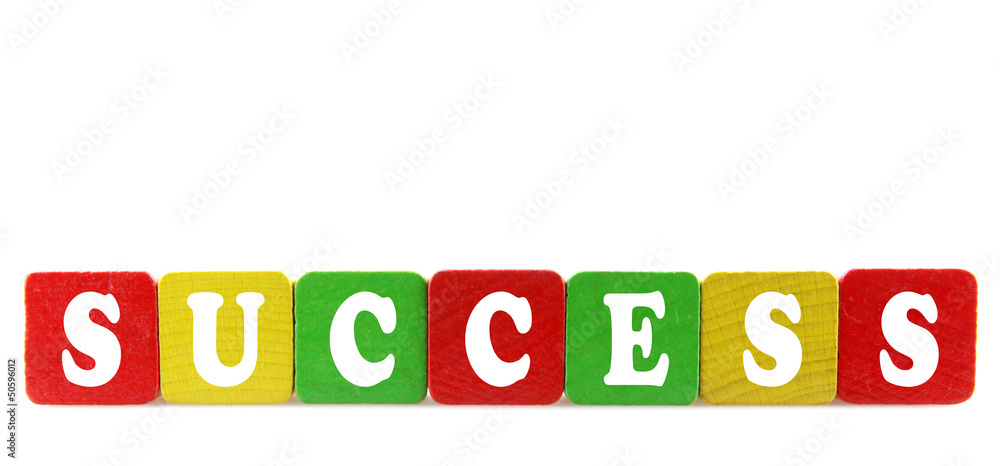 success - isolated text in wooden building blocks success - isolated text in wooden building blocks