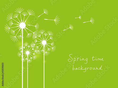 Green dandelions background
