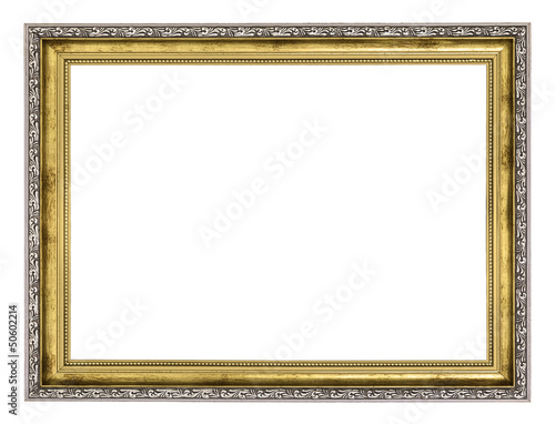 silver and gold frame