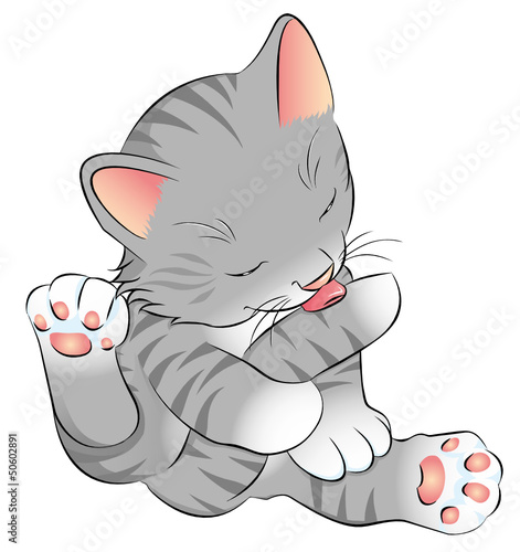 graues Katzenbaby putzt sich