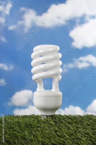 Compact flourescent lamp energy saving light