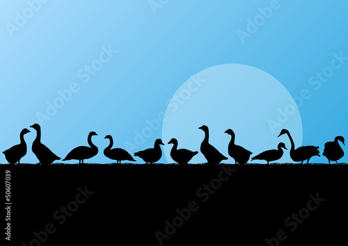 Farm duck and goose silhouettes in countryside landscape
