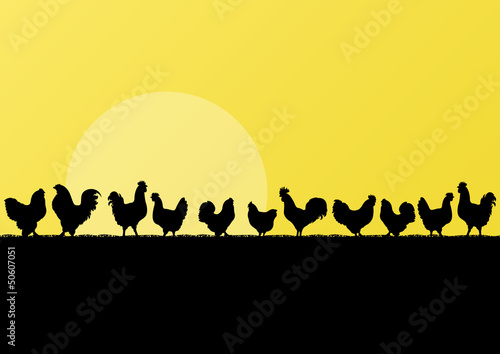 Farm chickens and roosters silhouettes in countryside landscape