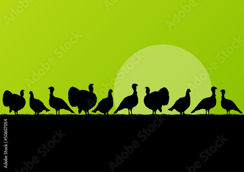 Wild turkey hunting season silhouettes in countryside landscape