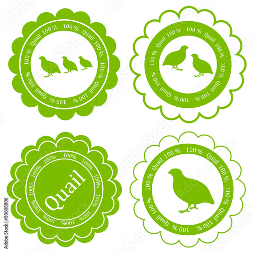 Quail meat vector background label stamp green farm concept