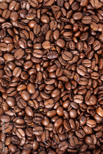 Coffee beans - Medium