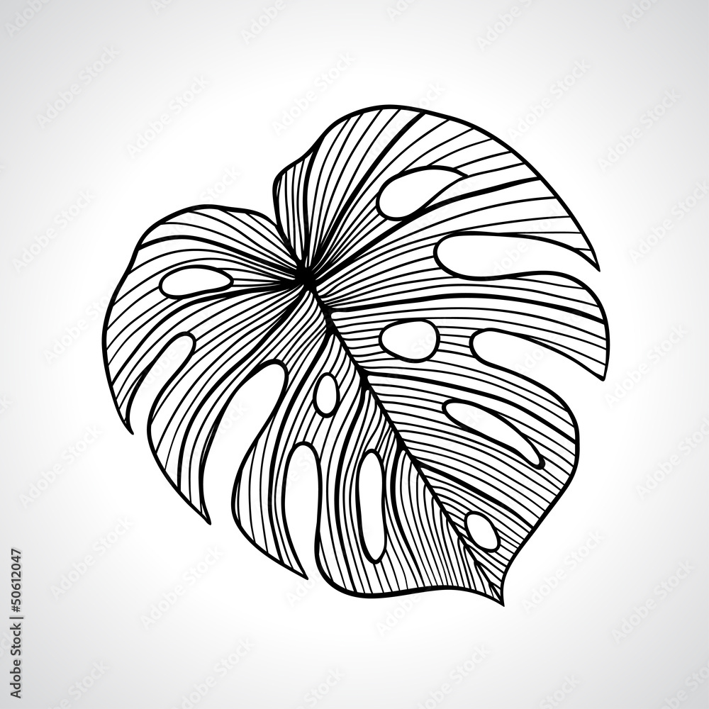 Fototapeta premium Black macro palm leaf isolated.