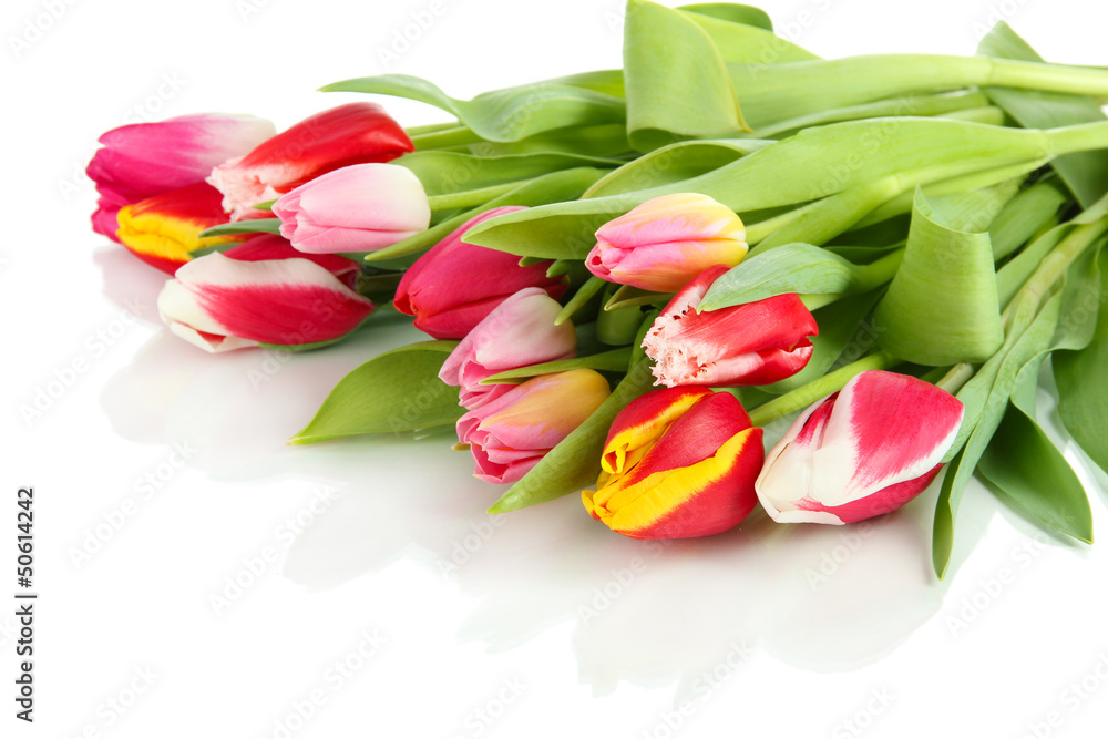 Beautiful tulips in bucket isolated on white Beautiful tulips in bucket isolated on white