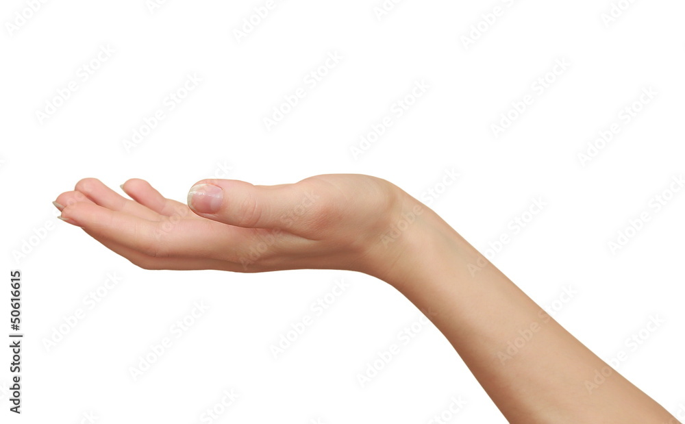 Woman hand holding something empty isolated on white background Woman hand holding something empty isolated on white background