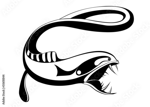 Predator fish