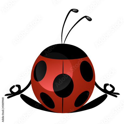 coccinella yoga