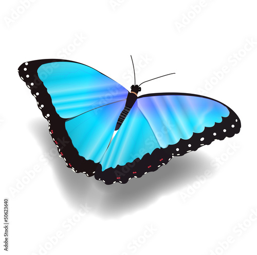 Morphofalter