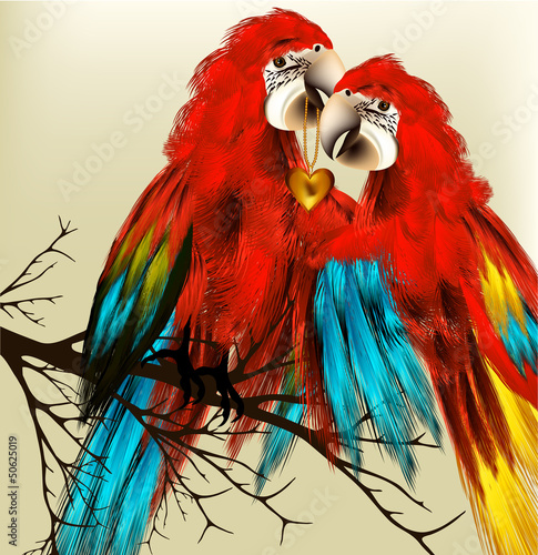 Cute couple of colorful vector realistic ara parrots sit on bran