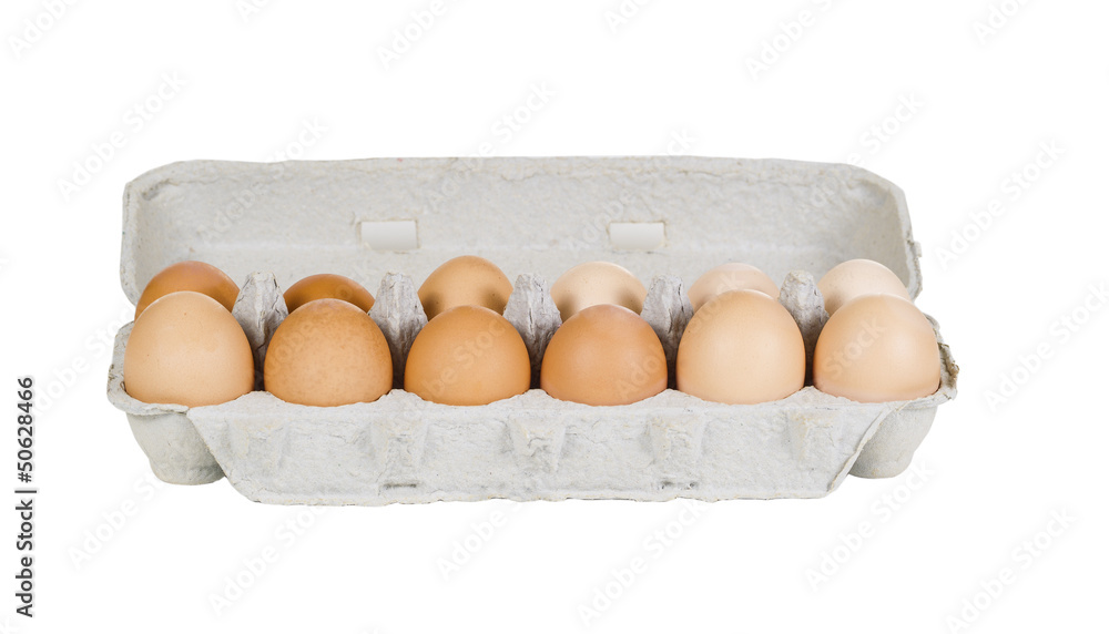 One Dozen Fresh Eggs in Carton on White