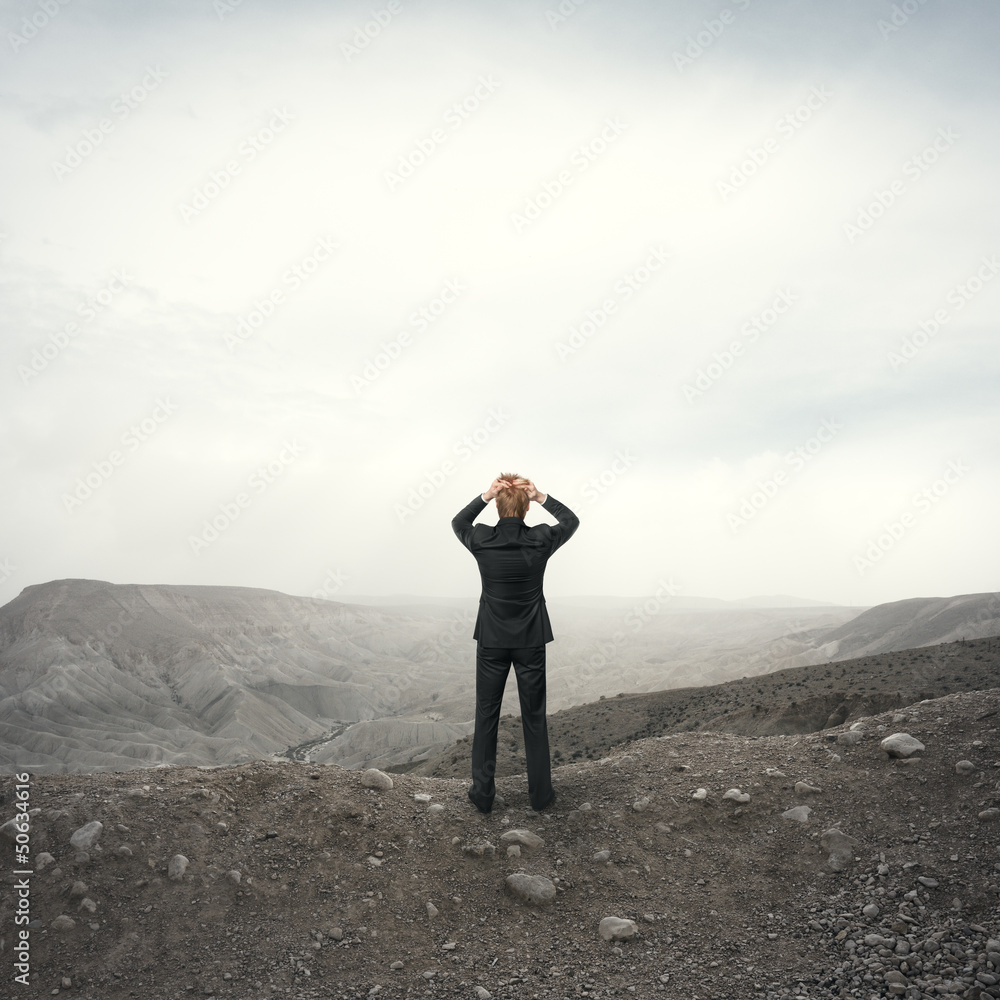 Businessman observing the desert landscape Businessman observing the desert landscape