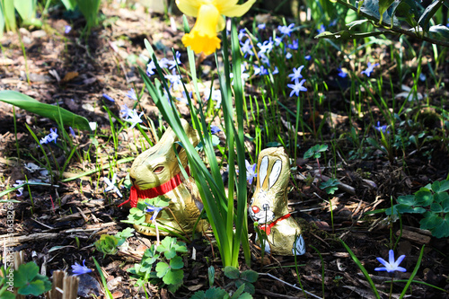 easter bunny