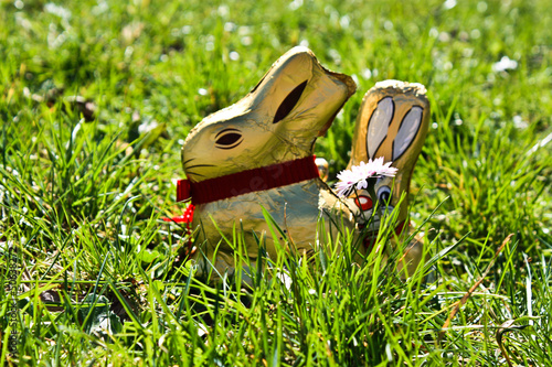 easter bunny
