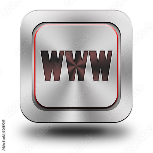 WWW aluminum glossy icon