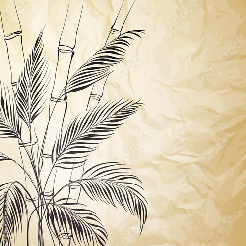 Palm tree over bamboo forest.