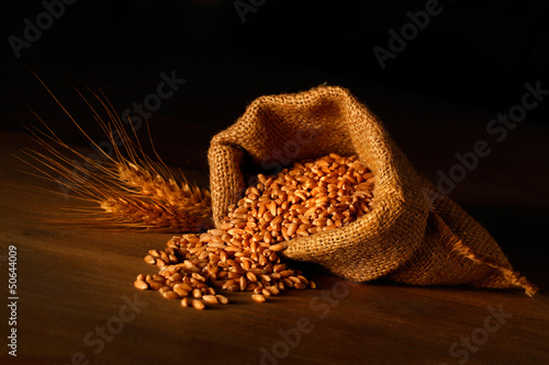 grano photo