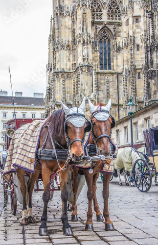 Fiaker Carriage in Vienna