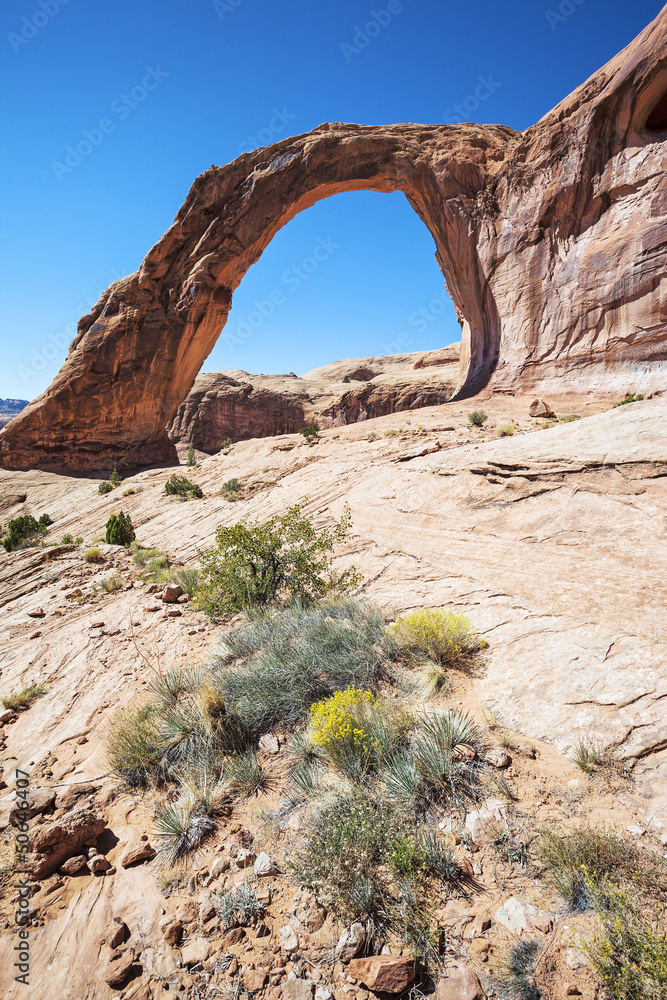 Vertical view of the famous Corona Arch
