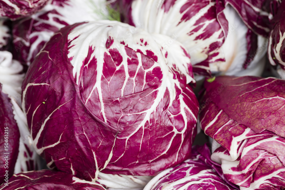 Fototapeta premium radicchio red salad