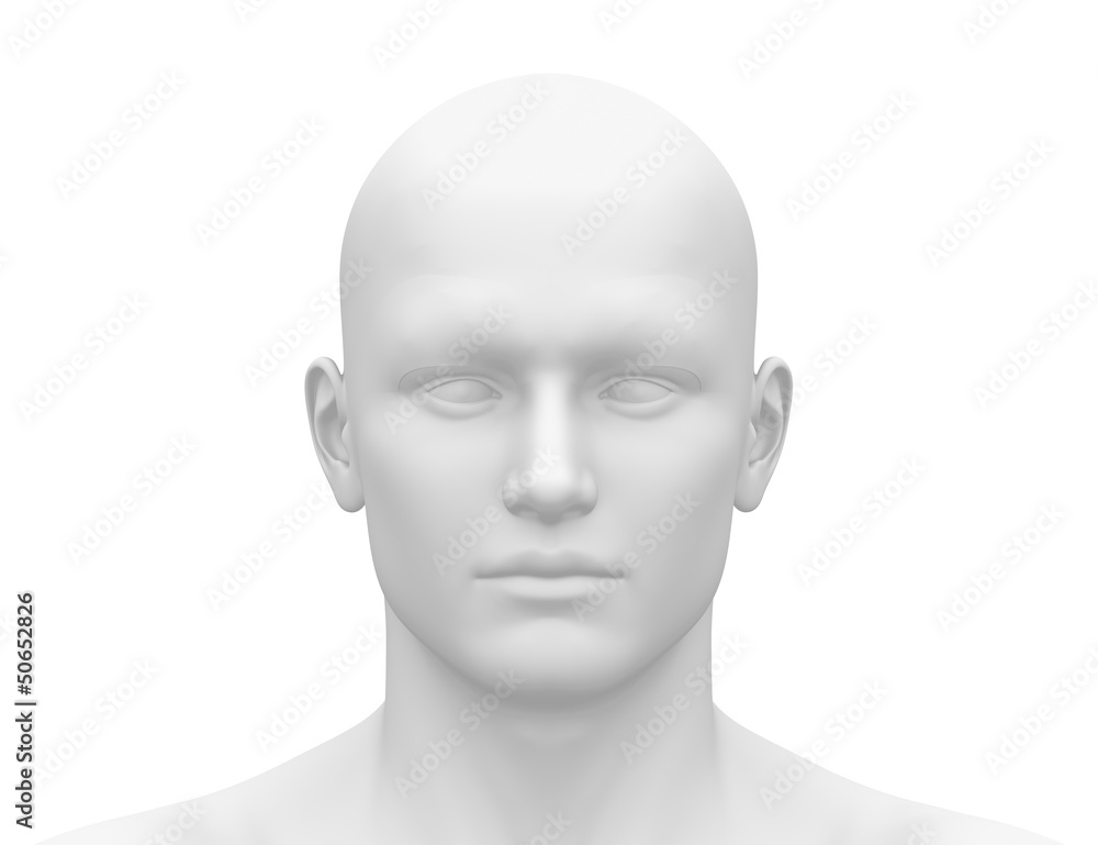 Blank White Male Head Front view ilustração do Stock Adobe Stock Blank White Male Head Front view ilustração do Stock Adobe Stock